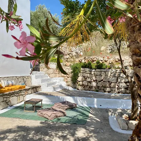 Apartamento To Petrino *